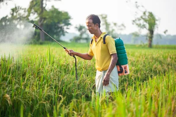 Farmer field